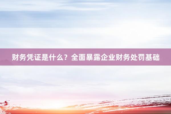 财务凭证是什么？全面暴露企业财务处罚基础